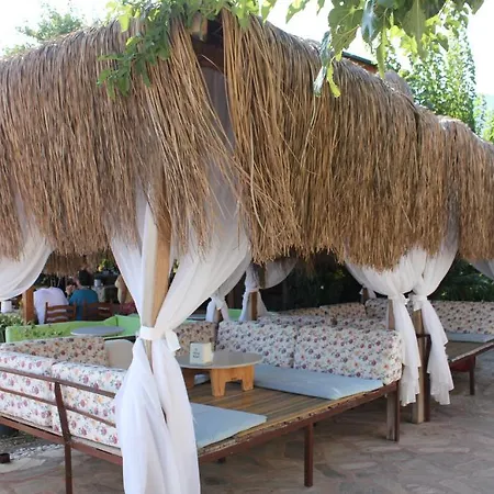 Hotel Changa 4*